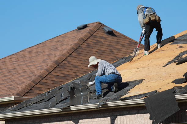 Best Asphalt Shingle Roofing  in Pine Island, TX