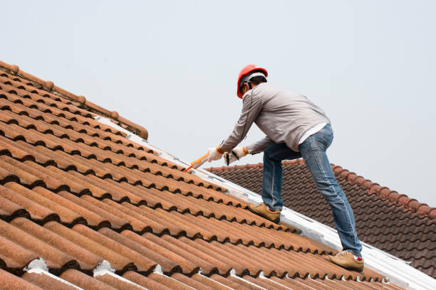 Best Gutter Installation and Repair  in Pine Island, TX